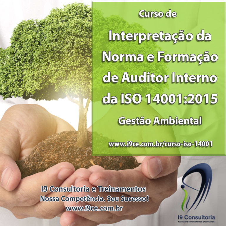 Curso De Formação De Auditor Interno Da Norma Nbr Iso 140012015 I9 Consultoria Empresarial 6917